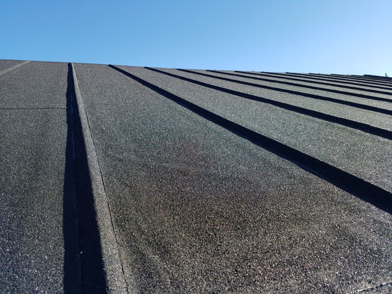 2. Renovering av asfaltspapp pa╠e garage