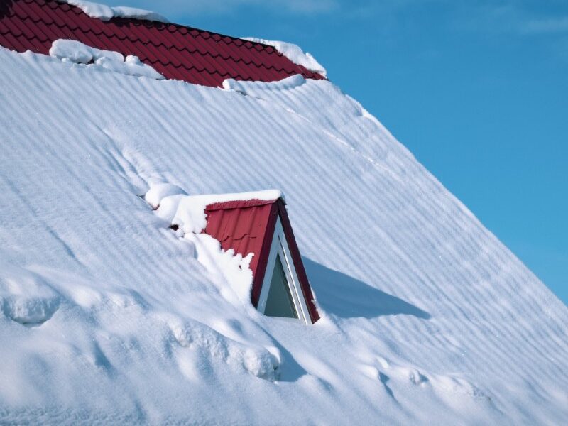 taksno e1682487316114